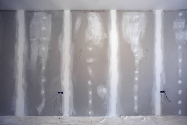 Best Water-Damaged Drywall Repair  in Whitney Point, NY